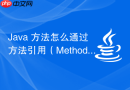 Java 方法怎么通过方法引用（Method Reference）在 Lambda 表达式中简化代码