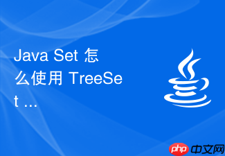 java set 怎么使用 treeset 基于红黑树实现元素的自然排序与定制排序