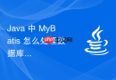 Java 中 MyBatis 怎么处理数据库列名与实体属性名映射