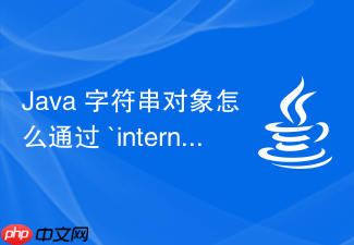 java 字符串对象怎么通过 `intern` 方法放入常量池