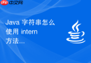 Java 字符串怎么使用 intern 方法将动态生成的字符串手动加入字符串常量池