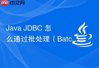 java jdbc 怎么通过批处理(batch processing)机制高效执行大批量数据插入