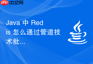 java 中 redis 怎么通过管道技术批量执行多条命令
