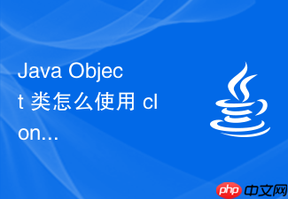 java object 类怎么使用 clone 方法实现对象的浅拷贝与保护性复制逻辑