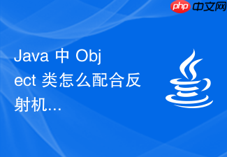 java 中 object 类怎么配合反射机制实现对象的动态属性赋值