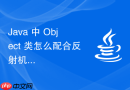 Java 中 Object 类怎么配合反射机制实现对象的动态属性赋值