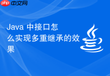 Java 中接口怎么实现多重继承的效果