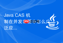 Java CAS 机制在并发容器中怎么广泛应用