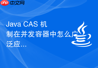 java cas 机制在并发容器中怎么广泛应用