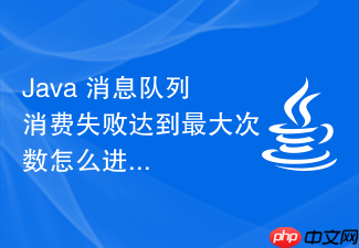 java 消息队列消费失败达到最大次数怎么进入人工处理表