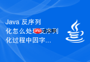 Java 反序列化怎么处理反序列化过程中因字段变更引发的动态兼容性适配问题