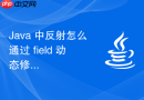 Java 中反射怎么通过 field 动态修改对象的私有属性