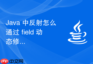 java 中反射怎么通过 field 动态修改对象的私有属性