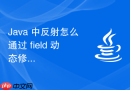 java 中反射怎么通过 field 动态修改对象的私有属性