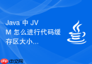 Java 中 JVM 怎么进行代码缓存区大小调优提升运行性能