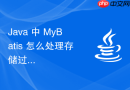 Java 中 MyBatis 怎么处理存储过程与复杂结果集映射