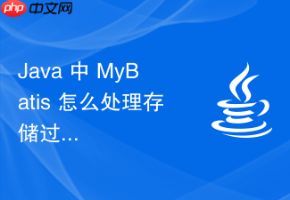java 中 mybatis 怎么处理存储过程与复杂结果集映射