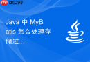 java 中 mybatis 怎么处理存储过程与复杂结果集映射