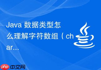 java 数据类型怎么理解字符数组（char[]）在密码存储安全性上优于 string 的原因