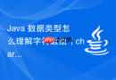 Java 数据类型怎么理解字符数组（char[]）在密码存储安全性上优于 String 的原因