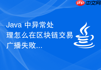java 中异常处理怎么在区块链交易广播失败时捕获并撤销