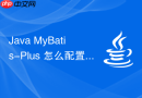 Java MyBatis-Plus 怎么配置多数据源与分布式事务
