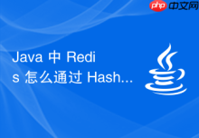 Java 中 Redis 怎么通过 Hash 类型存储对象属性数据