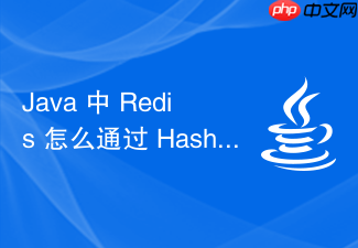 java 中 redis 怎么通过 hash 类型存储对象属性数据