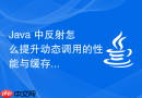java 中反射怎么提升动态调用的性能与缓存优化