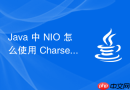 Java 中 NIO 怎么使用 Charset 编解码字符串数据