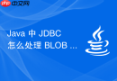 java 中 jdbc 怎么处理 blob 和 clob 大对象读写