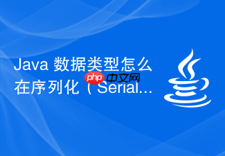 java 数据类型怎么在序列化(serialization)过程中处理 transient 关键字修饰的变量