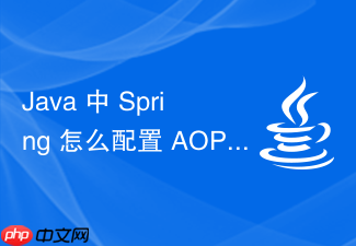 java 中 spring 怎么配置 aop 切面编程实现日志统计