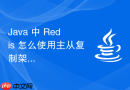 Java 中 Redis 怎么使用主从复制架构提升读写吞吐量