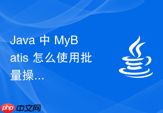 java 中 mybatis 怎么使用批量操作提升大量数据插入效率