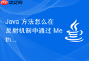java 方法怎么在反射机制中通过 method.invoke 动态执行指定对象的成员方法