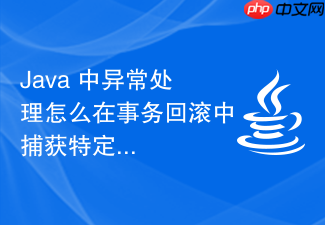 java 中异常处理怎么在事务回滚中捕获特定异常并处理
