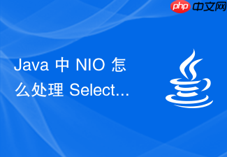java 中 nio 怎么处理 selector 轮询时的空轮询bug
