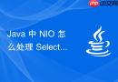 java 中 nio 怎么处理 selector 轮询时的空轮询bug