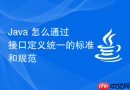java 怎么通过接口定义统一的标准和规范