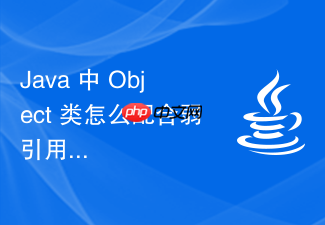 java 中 object 类怎么配合弱引用实现缓存对象的生命周期管理