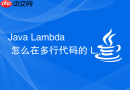 java lambda 怎么在多行代码的 lambda 表达式中使用大括号与 return 关键字编写复杂逻辑