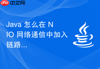 java 怎么在 nio 网络通信中加入链路追踪标识