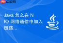 java 怎么在 nio 网络通信中加入链路追踪标识