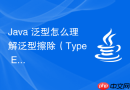 java 泛型怎么理解泛型擦除（type erasure）机制及其对运行时类型信息的影响