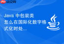 java 中包装类怎么在国际化数字格式化时处理数字对象