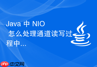 java 中 nio 怎么处理通道读写过程中的中断异常恢复