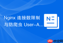 Nginx 连接数限制与防爬虫 User-Agent 过滤