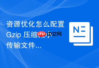 资源优化怎么配置 gzip 压缩减小传输文件体积