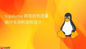 tcpdump 抓包后的流量统计与分析流程设计